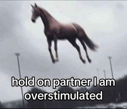 A horse flying away with a text saying "hold on partner I am overstimulated"